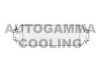 AUTOGAMMA 103198 Intercooler, charger